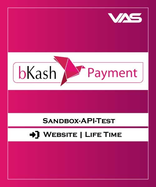 bKash Sandbox API Test – WordPress Plugin